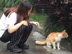 -陆家嘴世纪金融广场