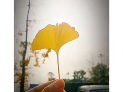 -西南政法大学(渝北校区)