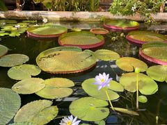 -国家植物园南园