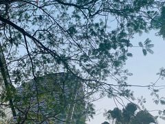 -星巴克臻选(深圳罗湖万象城店)