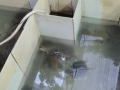 -龟场私房菜
