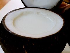 -志龙皇冠吃货椰子铺