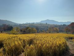 -塔川景区