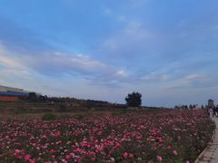 -君乐宝优致牧场