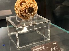 -广西壮族自治区博物馆