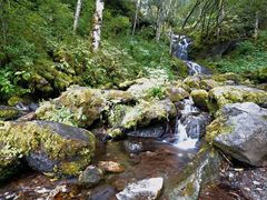 -梭布垭石林景区