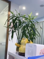 -蕾特恩专业祛痘.面部皮肤管理