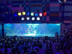 -泉城欧乐堡海洋极地世界