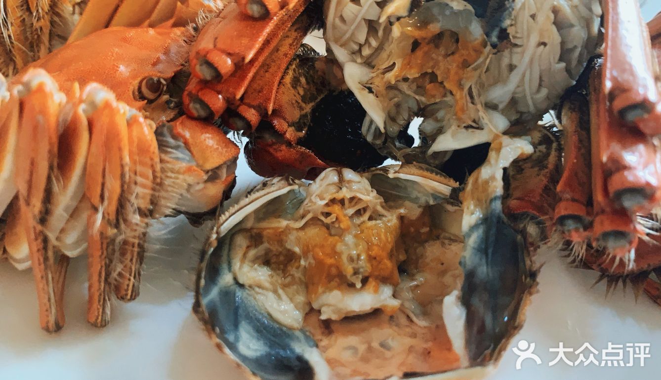 人间六月黄 吃肉又吃黄