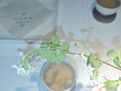 -春树下·树屋花房西餐厅(罍街AS1980店)