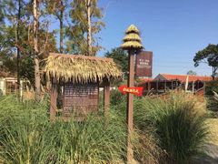 -上海长兴岛郊野公园