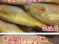 -海中洲国际大酒店-自助餐厅