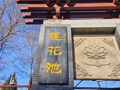 -莲花池公园