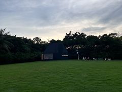 -福田红树林生态公园