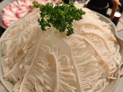 -宽巷子成都火锅(南站店)