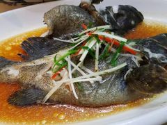 -大海山(金港店)