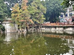 -侨美·唐荔园·40年地道粤菜