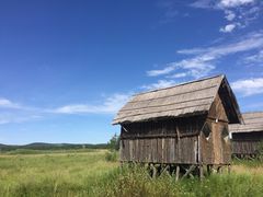 -塞罕坝国家级自然保护区