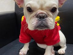 -清远熹乐谷温泉度假酒店
