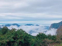 -金盆阿嬷香菇茶叶蛋(玄光店)