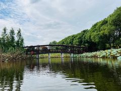 -同里国家湿地公园