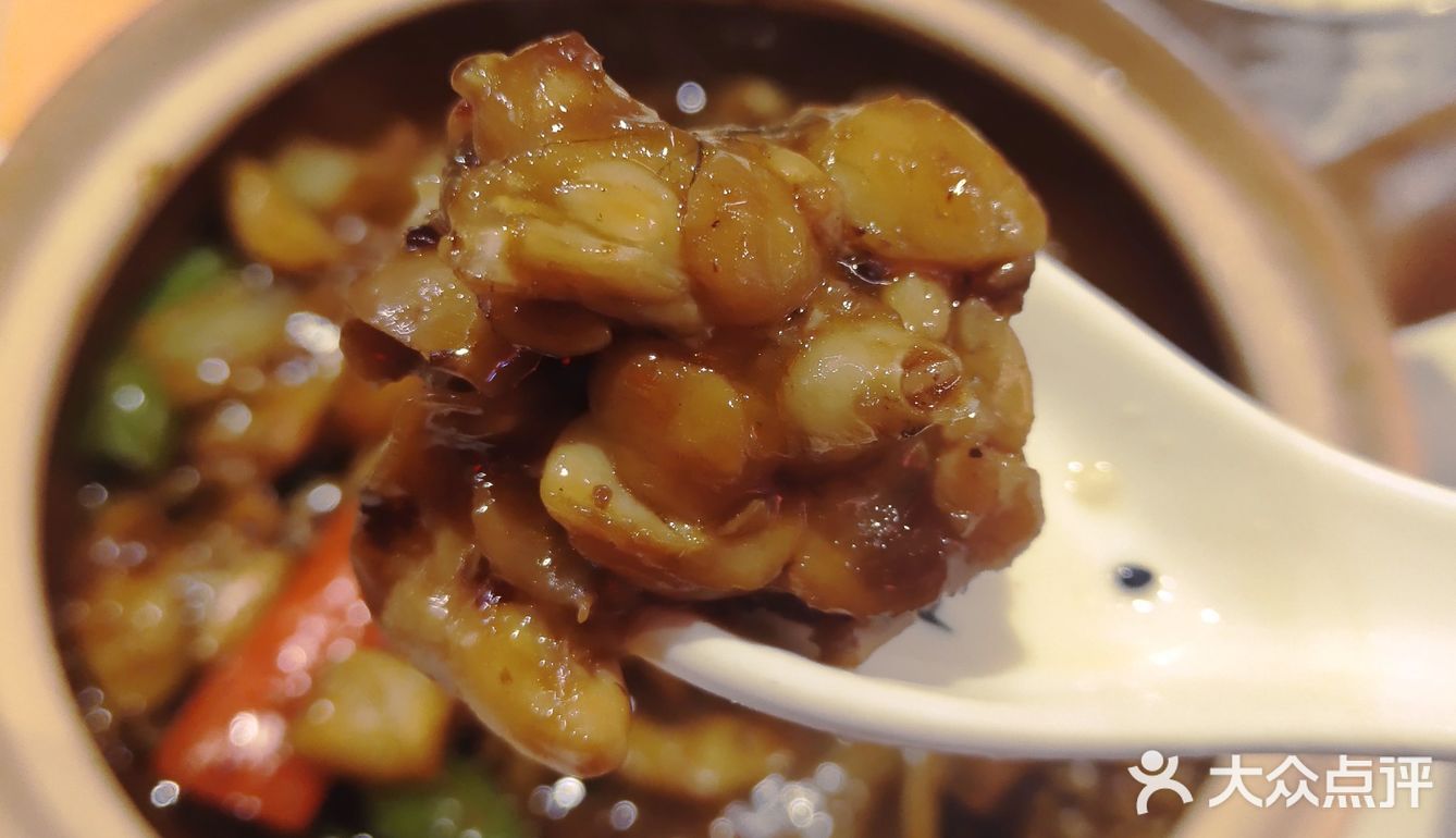 最爱肉骨茶，新加坡菜