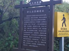 -阳台山自然风景区