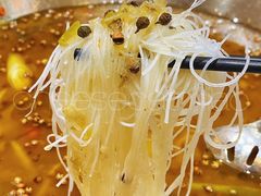 -麻小度青花椒鱼蛙火锅