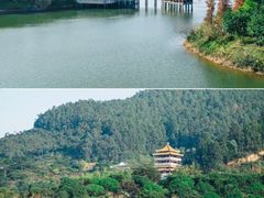 -水濂山森林公园
