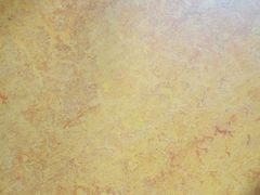 -潮福城大酒楼(北尚店)