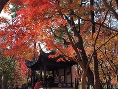 -秋霞圃