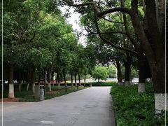 -辛亥革命博物院北区