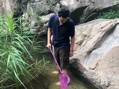 -碓臼峪自然风景区