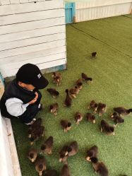 -萌宠亲子动物乐园(槐房万达店)