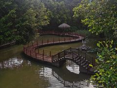 -珠海圆明新园