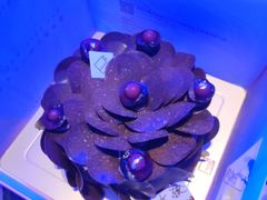 -福气鲜活面包·生日蛋糕