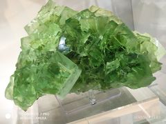 -中国地质大学逸夫博物馆