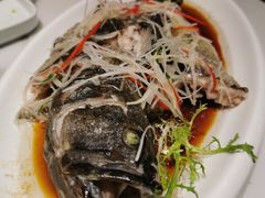 -澄记狮头鹅安粮店
