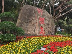 -野狸岛