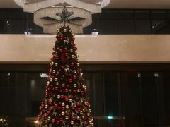 -上海嘉定喜来登酒店