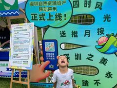 -宝安西湾红树林湿地公园