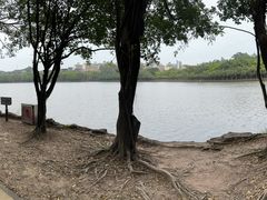 -三水森林公园