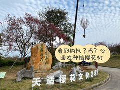 -天适樱花悠乐园