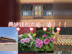 -北京市劳动人民文化宫(太庙)