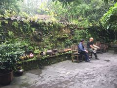 -青城甲(青城山店)