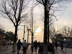 -西湖外事游船(湖滨二公园外事游船码头)