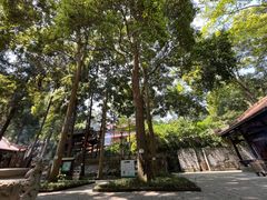 -都江堰普照寺