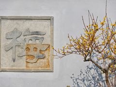 -无锡梅园公园