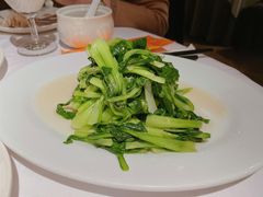清炒鸡毛菜-苏浙汇(古北店)