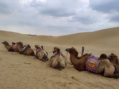 -银肯塔拉沙漠生态旅游景区